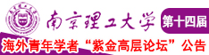 性俄罗斯老肥婆成人网南京理工大学第十四届海外青年学者紫金论坛诚邀海内外英才！